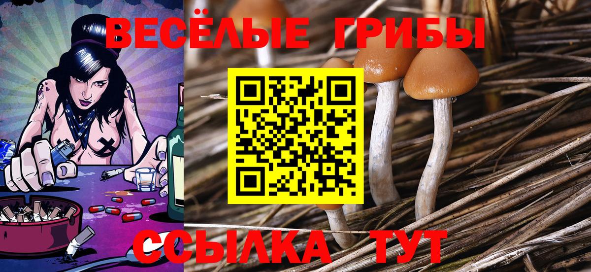 Псилоцибиновые грибы мухоморы  Вход с VPN  Орёл 