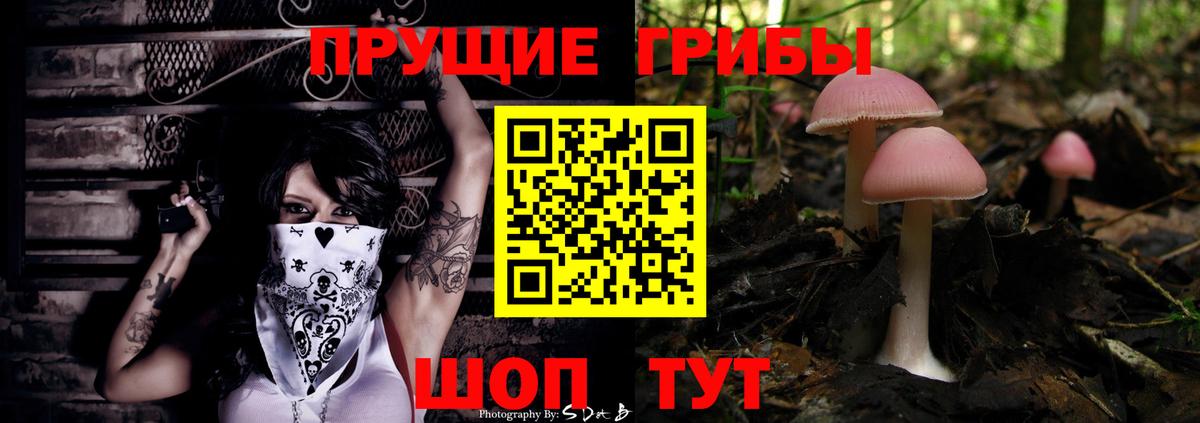 Галлюциногенные грибы мухоморы Орёл