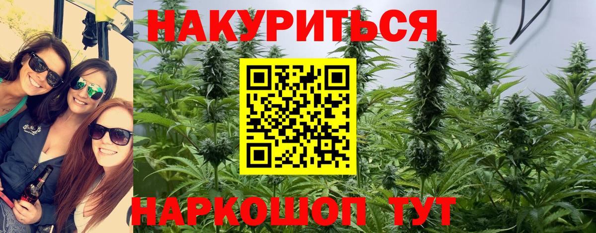 Конопля планчик Орёл